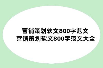 营销策划软文800字范文 营销策划软文800字范文大全